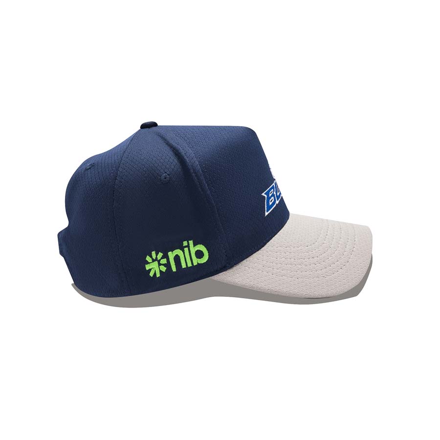 BLUES 2026 AUTHENTIC MEDIA CAP